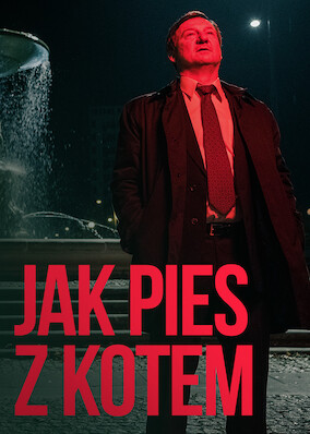 Jak Pies z Kotem